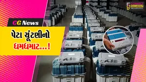 જૂનાગઢ : વિસાવદર વિધાનસભા પેટા ચૂંટણીમાં EVM મશીનની ફાળવણી સાથે સ્ટાફ થયો સજ્જ
